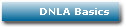 DNLA Basics