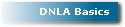 DNLA Basics
